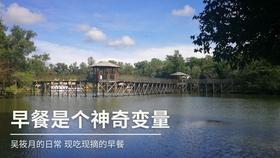 逃离诡异之林