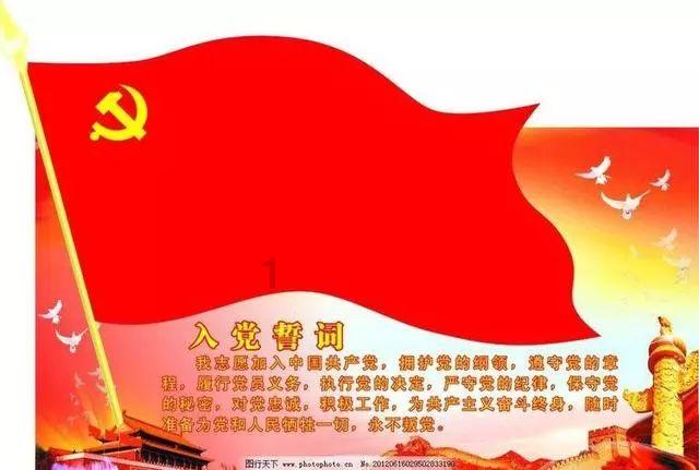 雪后,这片1500年的古楠木森林美成了“童话世界”