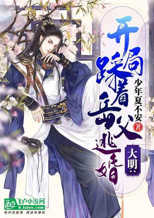 救援猫与武士